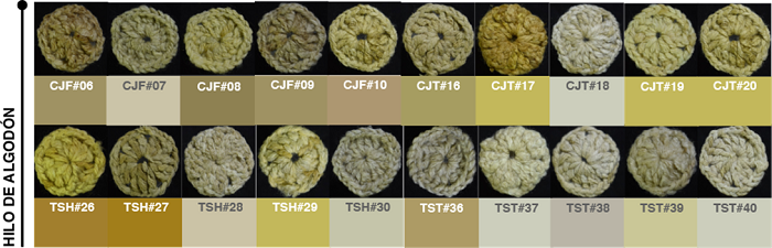 Retención de las tinturas vegetales en hilo de algodón