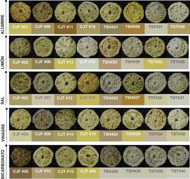Influencia de los pos-mordientes en el teñido de lana de oveja e hilo de algodón con chuquiragua y tilo