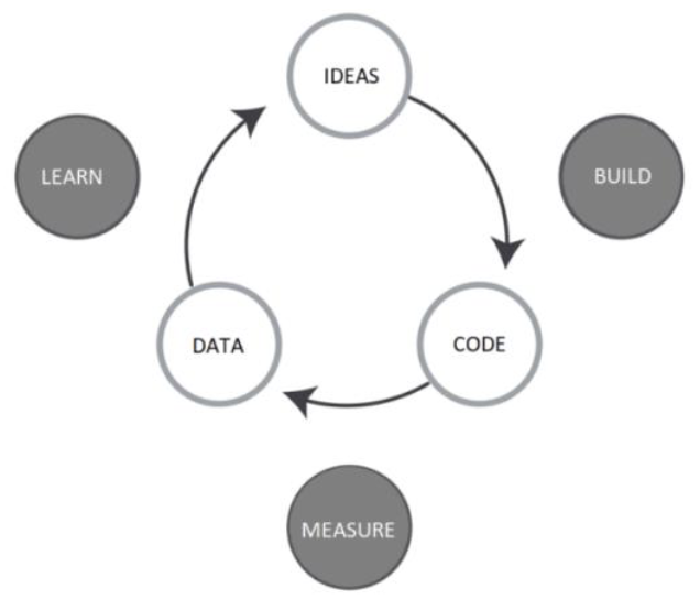 The build-measure-learn feedback loop