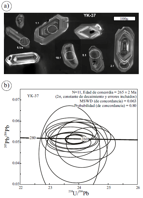 Resultados de la datación
U-Pb a partir de circones mediante SHRIMP de una ignimbrita (YK-37)
correspondiente a la unidad estratigráficamente más alta del Grupo Choiyoi en
la región de estudio (Riolita La Escondida).