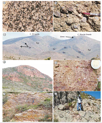 Compendio de imágenes que muestran algunos detalles de las diferentes unidades que forman la estratigrafía local del área del CIT.