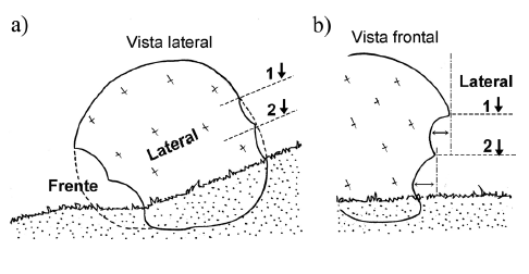 Esquema ilustrativo de las fases erosivas que favorecen la formación de pendientes invertidas y/o tafoni edáficos.
