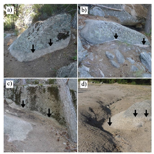 Ejemplos de marcas erosivas recientes, indicadas con flechas, definidas por la desaparición de líquenes.