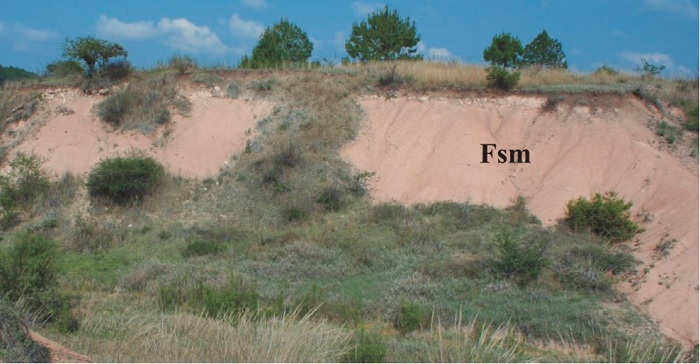 Fluvial System of the Yolom&eacute;catl Formation: Floodplain deposits. Notice that loose conglomerate fall and vegetation interrupt the continuity of the floodplain exposure.