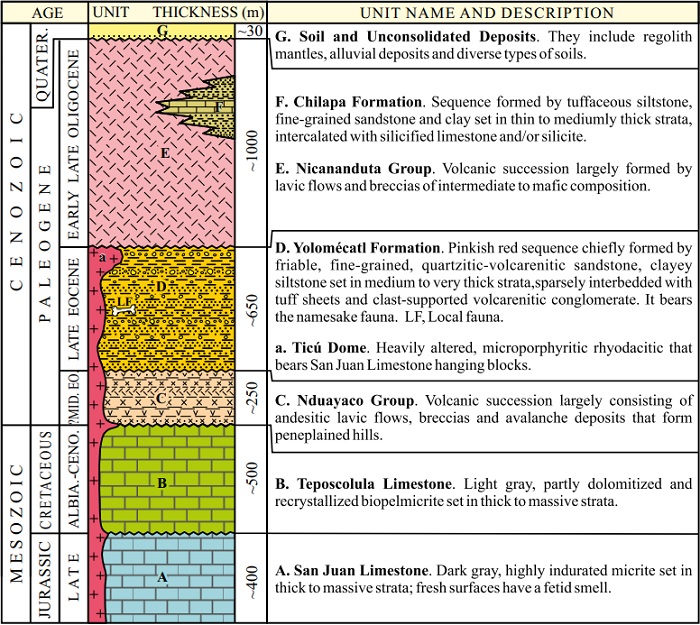 Generalized lithostratigraphic column of the Yolom&eacute;catl area, northwestern Oaxaca, Mexico.