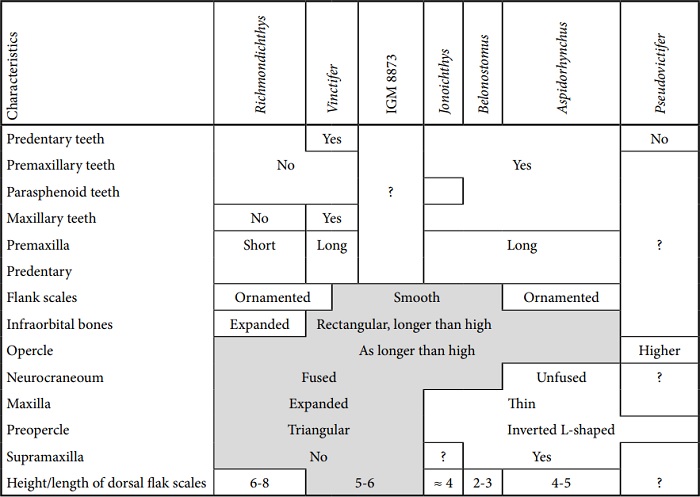 Comparative characteristics of genera of the family Aspidorhynchidae contrasted with the specimen IGM 8873 (shared characters within the gay box).