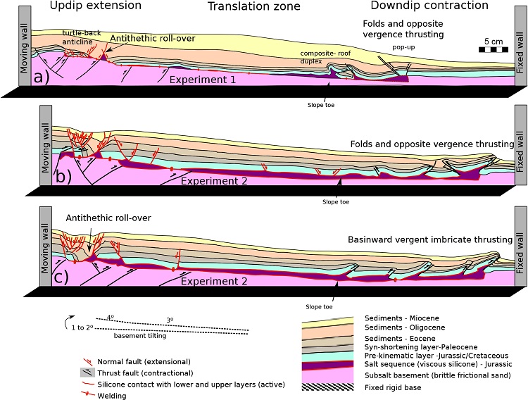 Three representative sections of experiments (a - Experiment 1; b and c - Experiment 2). Differences in the contractional style suggest that deformation in these systems is highly heterogeneous in 3D. Note the formation of folds in the zone of the slope toe. The updip extensional zone is characterized by the presence of an antithethic roll-over affecting the pre-kinematics layer.