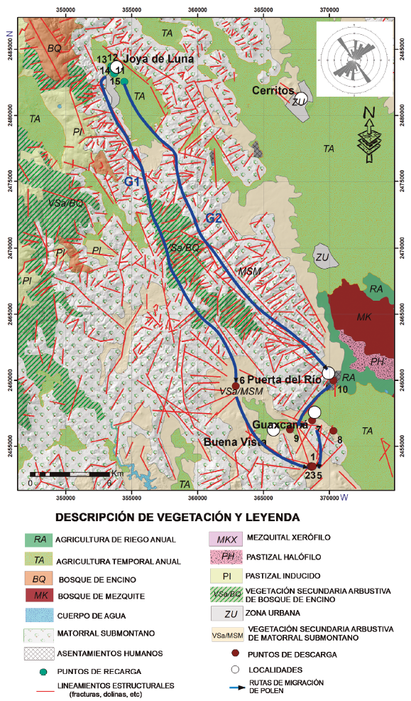 Mapa de lineamientos estructurales del área de estudio sobrepuesto al mapa de distribución de la vegetación. Se muestran las dos rutas de migración del polen en el agua subterránea definidas por los grupos G1 y G2 (ver Figuras 5 y 6).