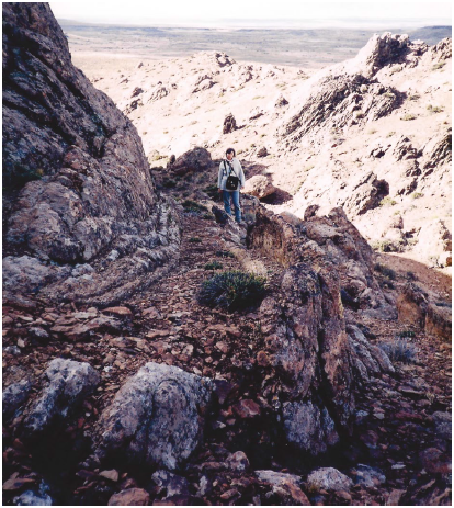 Domo traqu&iacute;tico en Puesto Su&aacute;rez, mostrando la estructura interna y evidencias de flujo.