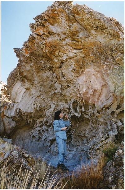 Lava riol&iacute;tica al sur de El Chaiful (41&deg;40'4''S 68&deg;58'16''O) con evidencias de fluidalidad.