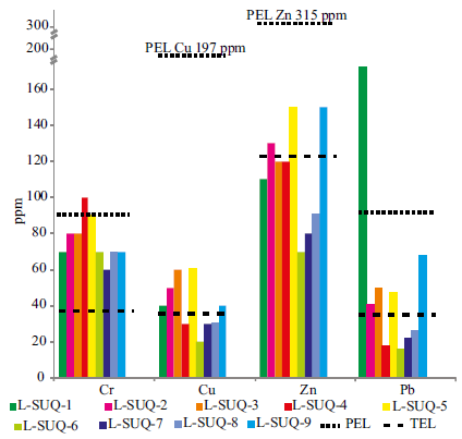 Concentracion de metales en los sedimentos del rio Suquia y relaci&oacute;n con los valores PEL y TEL (CCME, 2001) definidos para estos elementos.