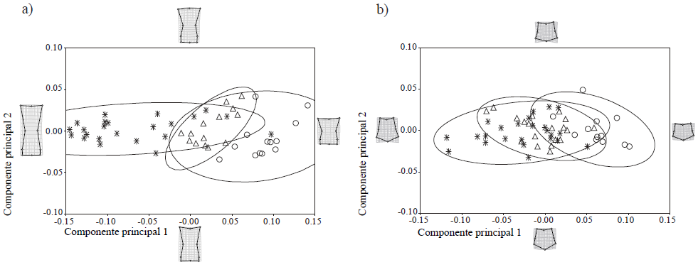 Representaci&oacute;n gr&aacute;fica del an&aacute;lisis de componentes principales, realizados sobre: a) 1FIII, primera falange del tercer d&iacute;gito; b) 2FIII, segunda falange deltercer d&iacute;gito. Elipses de densidad del 95%. S&iacute;mbolos como en la Figura 5.