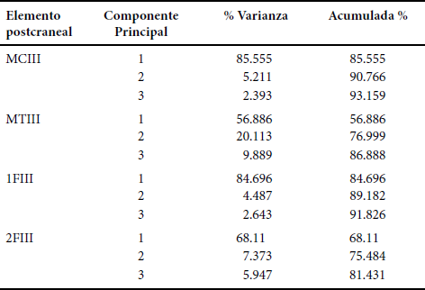 Porcentaje de varianza individual y acumulado de los tres primeros componentes principales de los MCIII, MTIII, 1FIII y 2FIII. Abreviaturas: MCIII, metacarpo del tercer digito; MTIII, metatarso del tercer digito; 1FIII, primera falange del tercer digito; 2FIII, segunda falange del tercer digito.