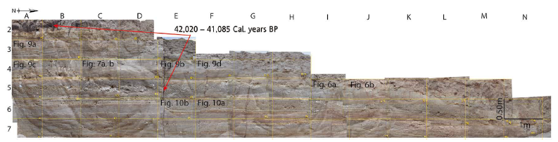 Section of the TRSPA1 indicating the location of some SSDS figures caused by seismic shocks, identified and described in this work.
