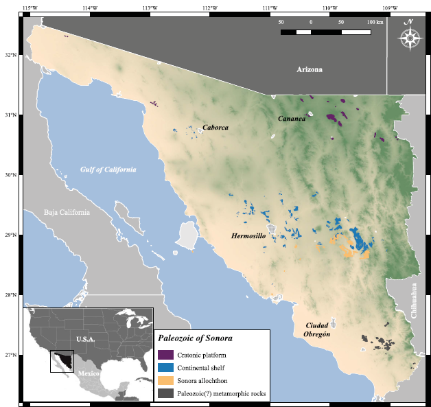 Paleozoic outcrops in Sonora, NW Mexico (compiled from 1:50,000 maps of the Servicio Geol&oacute;gico Mexicano and Gonz&aacute;lez-Le&oacute;n et al., 2006).