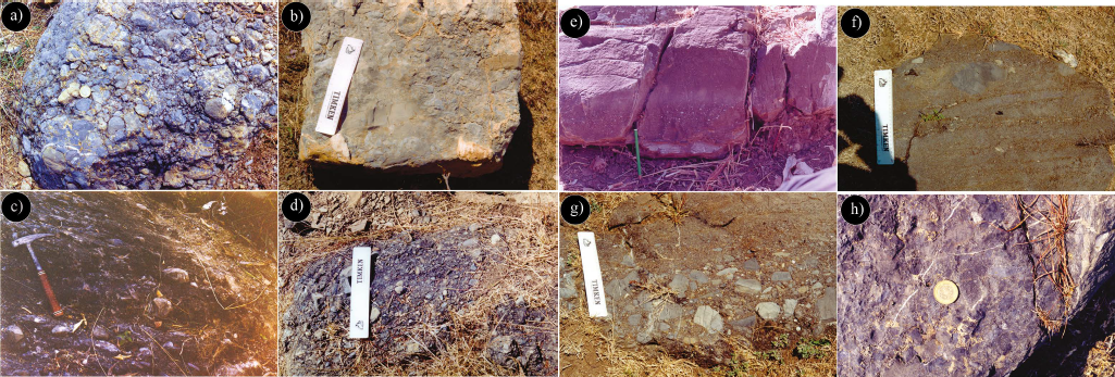 Fotografías de las facies de las clases conglomerádicas: a) conglomerado calcáreo soportado por granos de la facies A1.1; b) conglomerado soportado por matriz calcárea de la facies A1.2; c) y d) conglomerado soportado por matriz arcillo-arenosa con desarrollo de imbricación incipiente de la facies A1.3; e) arenisca de grano muy grueso con gradación inversa cíclica de la facies A1.4; f) conglomerados inversamente gradados con desarrollo de lechos de tracción de la facies A2.2; g) conglomerados normalmente gradados compuestos principalmente por clastos de caliza de la facies A2.3; (h) conglomerados soportados por clastos compuestos por clastos de andesita y caliza de la facies A2.4. La regla mide 15 centímetros.