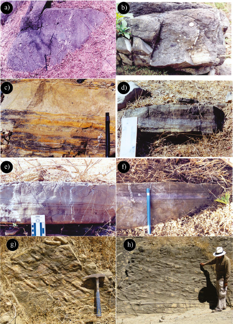 Fotografías de las facies de las clases A, B y C: a) conglomerados normal a inversamente gradados de la facies A2.6; la base del estrato se sitúa a la izquierda de la fotografía; b) areniscas masivas con clastos flotados de lutita de la facies B1.1; c) areniscas de grano medio con estratificación lenticular de areniscas de grano grueso de la facies B1.2; d) areniscas con estratificación cruzada generada por la migración de dunas de corriente de la facies B2.2; e) areniscas con la secuencia Bouma completa, “Tabcde”, de la facies C2.1; f) areniscas con la presencia parcial de la secuencia Bouma, “Tbcde”, característica de la facies C2.2; g) y h) estructuras de flujo, “flautas” y surcos de erosión asociadas con estructuras por arrastre y saltación de partícula de las facies C2.2 y C2.3, respectivamente.