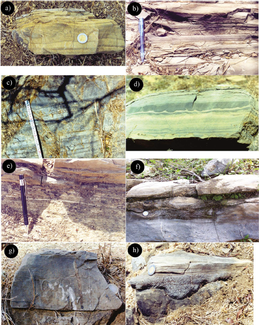 Fotografías de las clases C, D y depósitos no turbidíticos “DNT”: a) areniscas de la facies C1.1, caracterizada por laminaciones paralelas–laminación con- voluta–laminaciones paralelas; b) facies de lutitas arenosas laminadas de la facies D1.1; c) lutitas y limolitas gradadas de la facies D1.2; d) lutitas y limolitas gradadas con estructuras de deformación de “moldes de carga y estructuras en flama” de la facies D2.2; e) lutitas, limolitas y estratos muy delgados de arenisca fina de la facies D2.1; f) depósitos asociados a turbiditas que muestran una base erosiva constituida por conglomerados residuales bioclásticos, cubiertos por estratificación de tipo swaley y hummocky; g) sucesión de estratificación cruzada de tipo swaley y hummoky caracterizada por mostrar bajo ángulo dentro de las sucesiones profundas; y h) caliza de tipo grainstone bioclástica de las facies DNT con bases muy erosivas con surcos de erosión, a los que cubren laminaciones cruzadas de bajo ángulo.