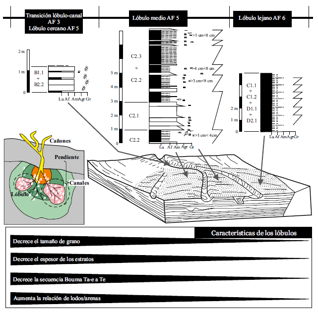 Interpretación sedimentológica de las asociaciones de facies 3, 5 y 6. Modelo del lóbulo tomado de Galloway y Hodbay (1996). Modelo de abanicos submarinos antiguos tomada de Mutti y Ricci-Luchi (1972). El círculo en línea punteada denota la posición de los sistemas documentados dentro del modelo de abanico submarino. Los números 1, 2, 3, 4, 5, 6, y 7 hacen referencia a las diferentes asociaciones de facies documentadas en este trabajo.