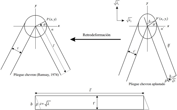 Transformacin de un pliegue chevron por aplastamiento (ver anexos). En el estado no aplastado, α es el ngulo de inclinacin de los flancos, t es el espesor de la capa competente, l' es la longitud del flanco recto y θ es el ngulo entre el eje x y el punto P(x,y); mientras que en el pliegue aplastado, α' es el ngulo de inclinacin de los flancos, t' es el espesor de la capa competente, lf es la longitud del flanco y θ' es el ngulo entre el eje x y el punto P'(x,y). β es el ngulo que existe entre b y c (   λ  ).