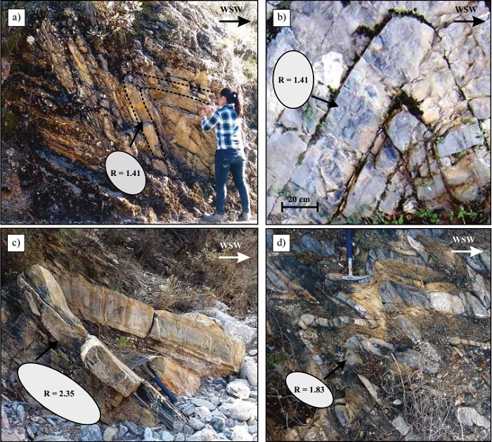 Geometra de los pliegues tipo chevron aplastados en la Formacin Tamaulipas dentro de las cuencas de Zimapn (a, c y d) y Tampico-Misantla (b). Las elipses que se muestran representan la cantidad de aplastamiento que tienen los pliegues. R- proporcin de forma de la elipse (ecuacin 2).