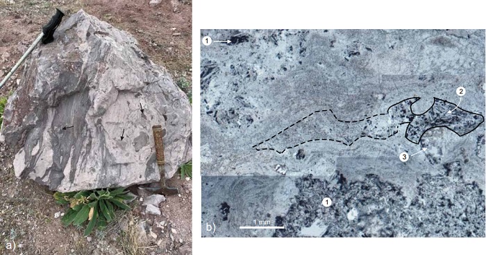 Some of the volcanic rocks associated to the dome display textures that suggest magma mixing and mingling. a) Lava block with a streaked appearance caused by the presence andesitic and rhyolitic domains. Note the presence of angular fragments of accidental andesite (indicated by arrows), both inside the light and dark colored streaks. Andesitic domains on the left side of the block have a “fiamme-like” appearance. b) Photomicrograph mosaic from sample ZS-42 where andesitic fragments (1, 2) appear to float in a felsic, foliated, nearly aphyric groundmass. The foliation is interpreted as product of compaction and welding in the ignimbrite. Note that some of the andesite fragments labeled (1) have sharp but irregular boundaries against the felsic magma. Morphology of the boundary bet- ween the largest domain of intermediate composition and felsic glass suggest interaction between liquids with different viscosities (e.g., Sklyarov and Fedorovskii, 2006). Some other intermediate domains (2) have fuzzy boundaries that indicate partial hybridization between both types of magma. A sanidine crystal (3) has a honeycomb-like texture. Plane polarized light. Field of view of the photomosaic is 5.2 × 3.8 mm.