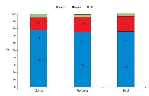 Perfil de cor ou raça, de acordo com a posição ocupada. São Carlos (SP), 2015.