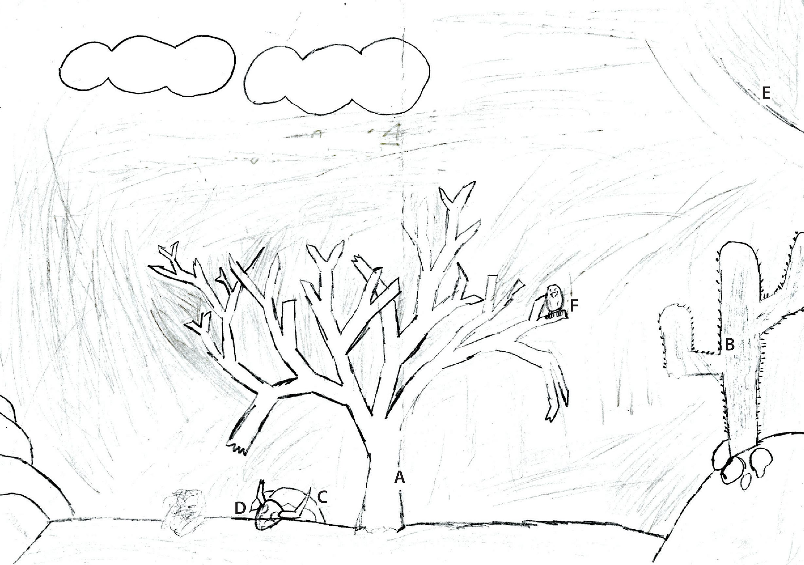 &ldquo;O l&aacute;, o Nordeste&rdquo;.