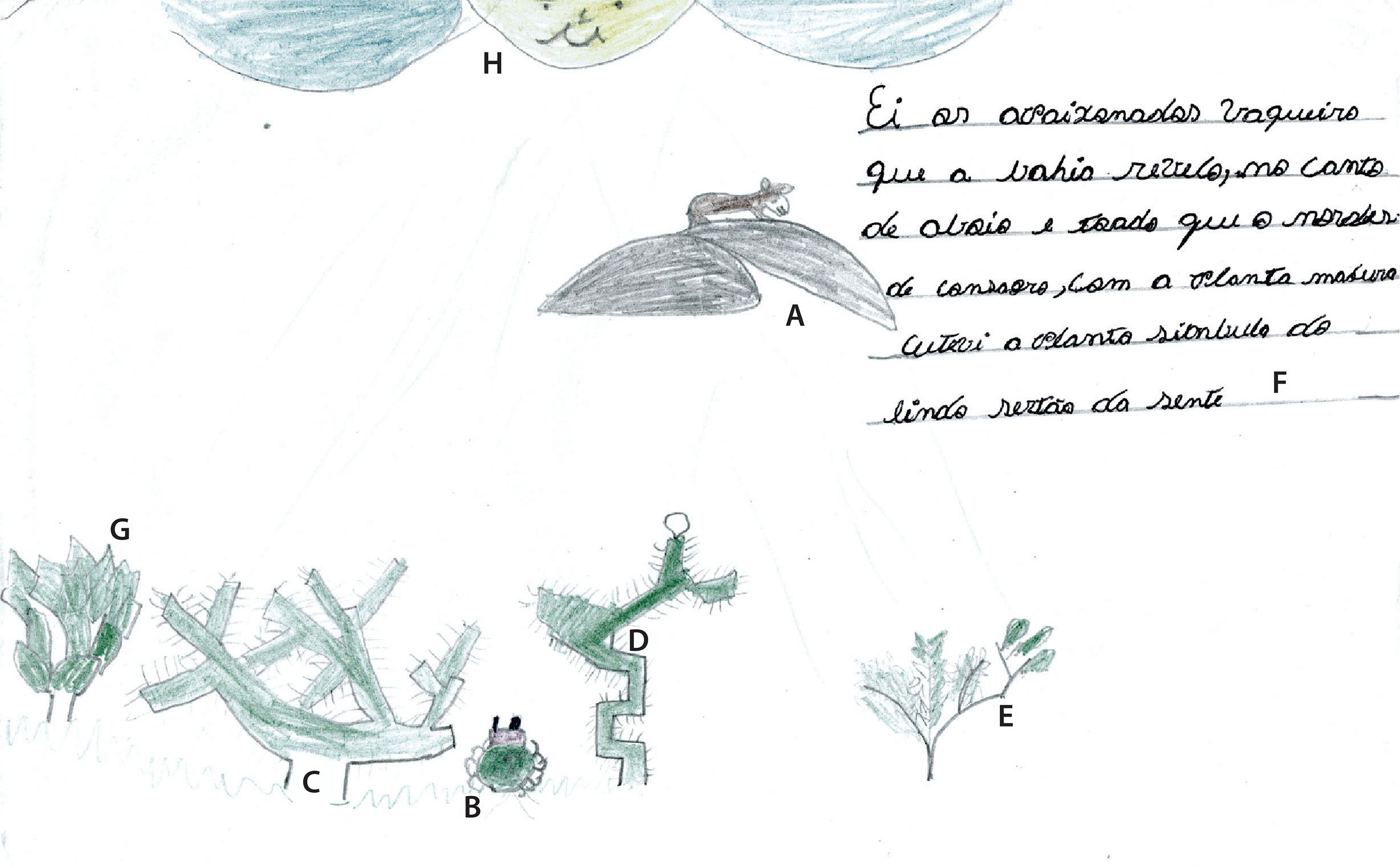 &ldquo;Aboiar &eacute; Caatinga&rdquo;.