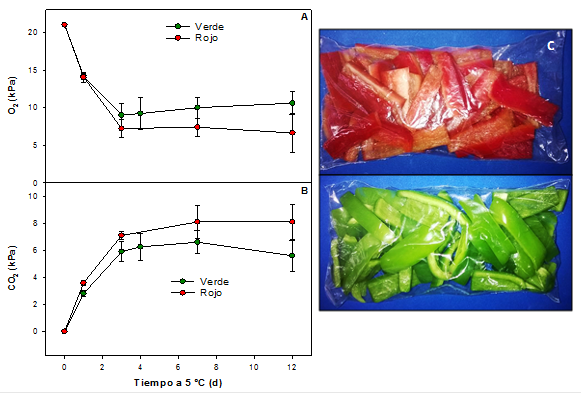Evolución del A) O2 y B) CO2 dentro de los envases durante el almacenamiento a 5 °C de pimiento rojo y verde fresco cortado durante 12 d. Envases de AM para pimiento rojo y verde (C). Se muestran las barras de error estándar (n=x).