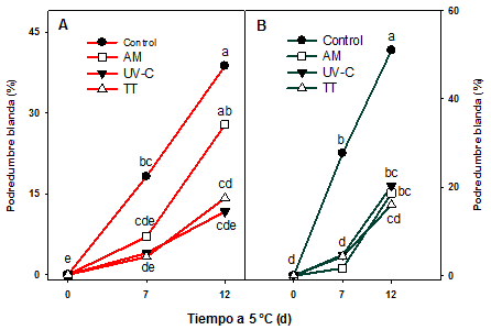 Podredumbre blanda en pimiento rojo y verde fresco cortado almacenado en AM, tratado con radiación UV (20,0 kJ m-2) o tratado térmicamente (TT, 45 °C, 3 min) y almacenado a 5 °C por 7 y 12 d. Las letras distintas indican diferencias en un test de Fisher con un nivel de significancia de P<0,05.