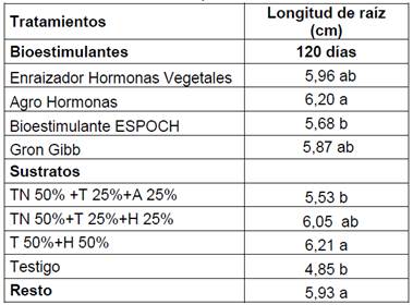 Efecto de los factores y contrastes en la longitud de la ra&iacute;z (cm) 