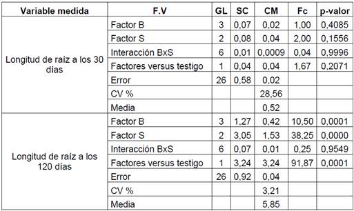 An&aacute;lisis de varianza de la variable longitud de ra&iacute;z a los 30 y 120 d&iacute;as