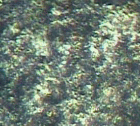 Material de blindaje distribuido de manera uniforme en la superficie, imagen microscópica a 200X