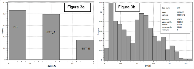 Análisis univariado de datos en SGEMS.