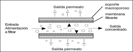 Esquema del principio de microfiltraci&oacute;n tangencial