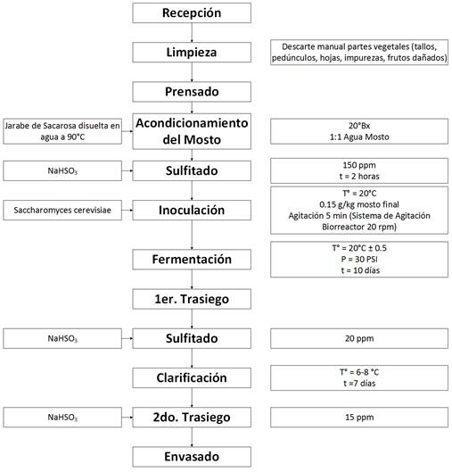 Proceso de elaboraci&oacute;n de vino de mora de Castilla (Clarke, 2001)