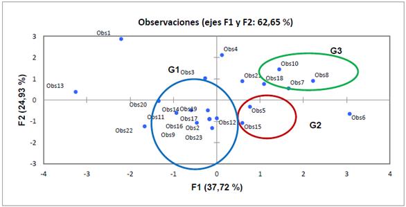 Mapa bivariado - asiento del conductor