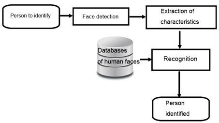 Primary stages of a facial recognition system