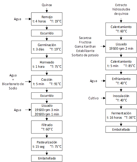 Proceso de preparaci&oacute;n del extracto y bebida fermentada de quinoa.