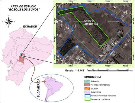 &Aacute;rea de estudio Bosque Los B&uacute;hos