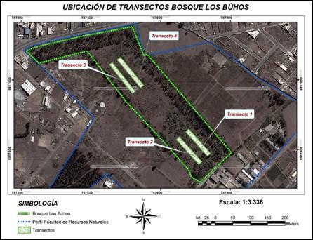 Ubicaci&oacute;n de transectos Bosque Los B&uacute;hos