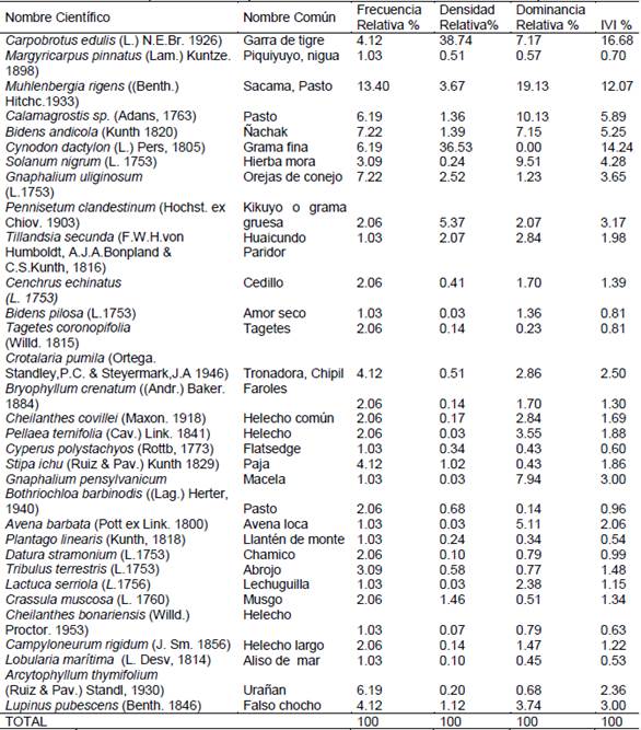 &Iacute;ndice de importancia de especies de flora del estrato herb&aacute;ceo del Bosque Los B&uacute;hos