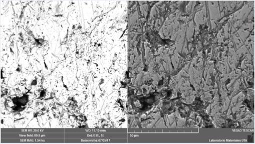 Topograf&iacute;a de desgaste de la herramienta de trabajo Cobre, imagen SEM BSE y SE