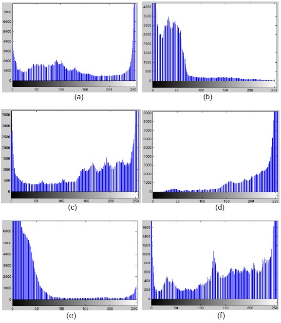 Histogramas de las im&aacute;genes t&eacute;rmicas.