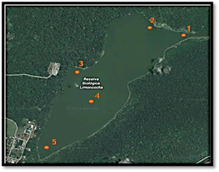 Mapa de la reserva biológica Limoncocha.