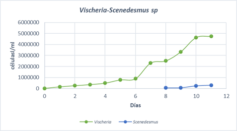 Cinética de crecimiento del consorcio Vischeria/Scenedesmus sp en medio BBM mediante conteo celular