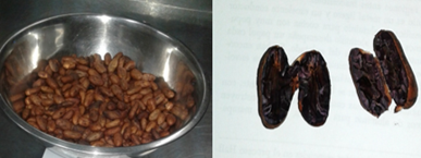 Resultados del cacao seco