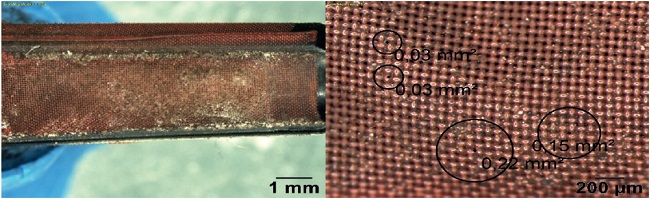 Malla de microfiltro del inyector Corsa (zoom: 1.25x, 5x, combustible 87 % octano)