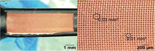 Malla de microfiltro del inyector corsa (zoom: 1.25x, 5x, combustible al 5 % etanol)